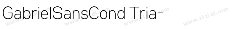 GabrielSansCond Tria字体转换